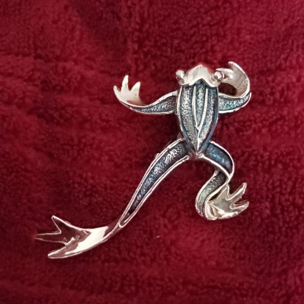 Frog brooch/pin